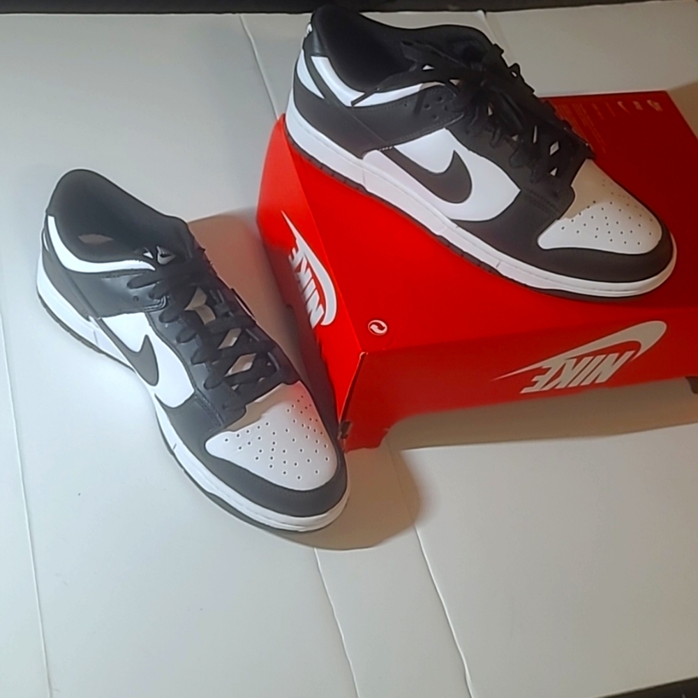 Nike Dunk Low retro